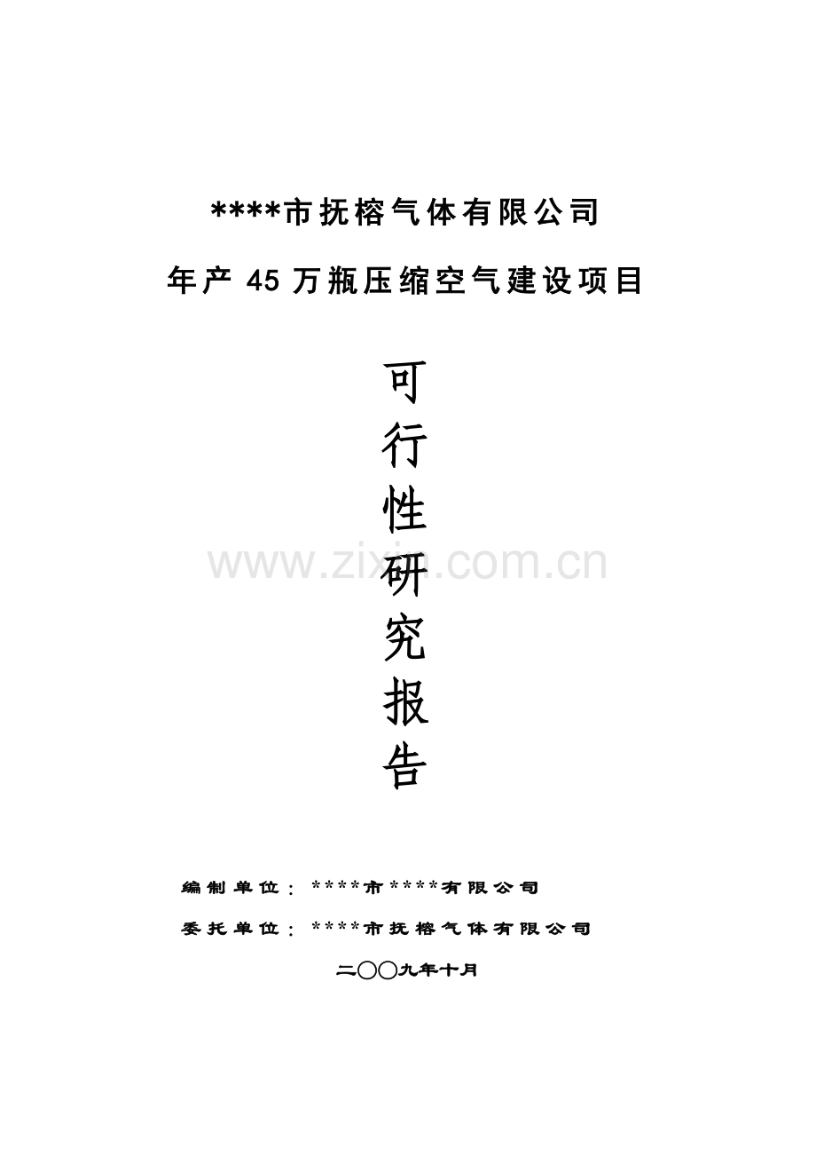 年产45万瓶压缩空气建设可行性策划书.doc_第1页