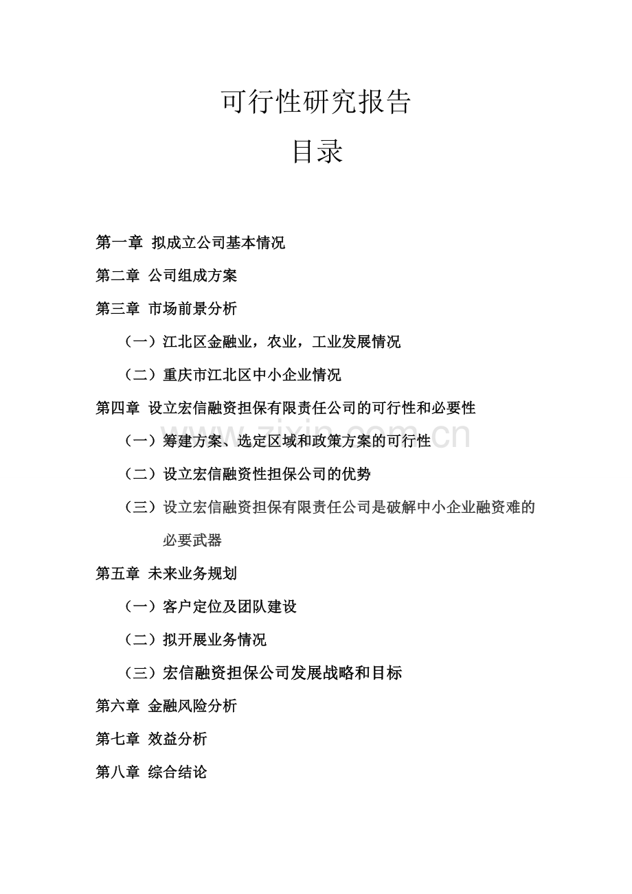 宏信融资担保有限责任公司可行性研究报告.doc_第1页