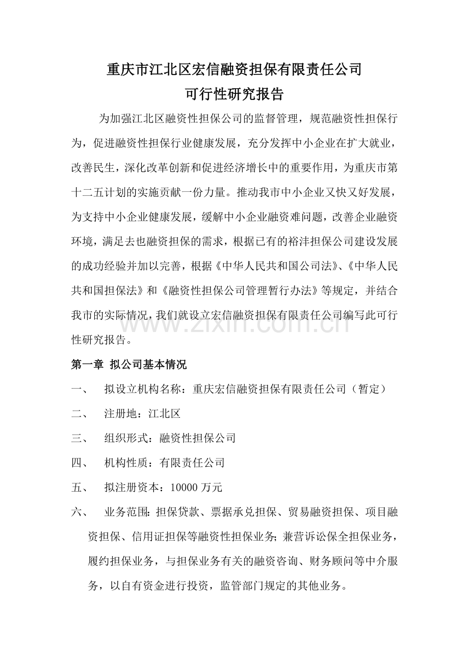 宏信融资担保有限责任公司可行性研究报告.doc_第2页