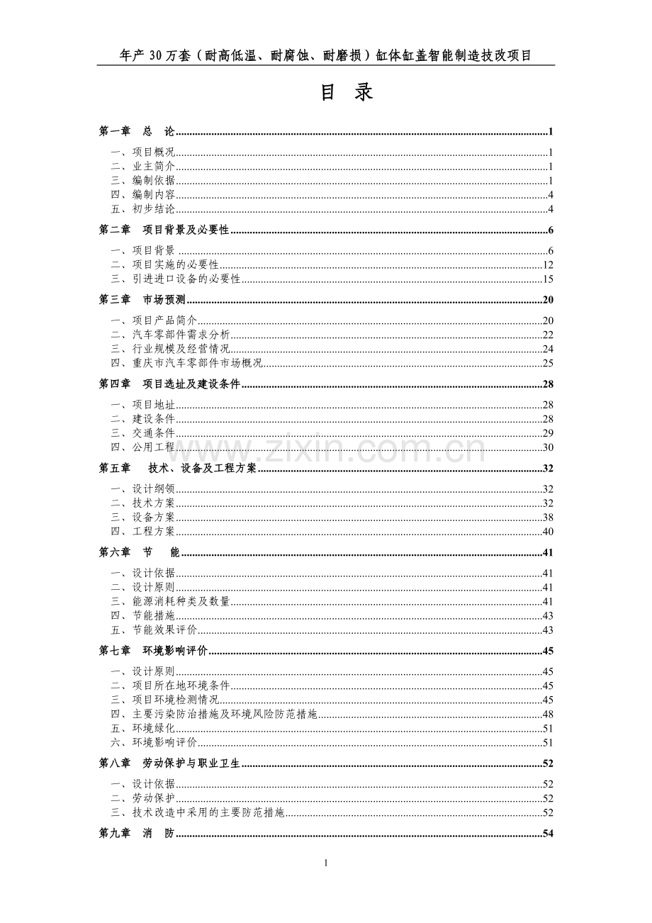 年产30万套耐高低温、耐腐蚀、耐磨损缸体缸盖智能制造技改项目可行性研究报告.doc_第1页