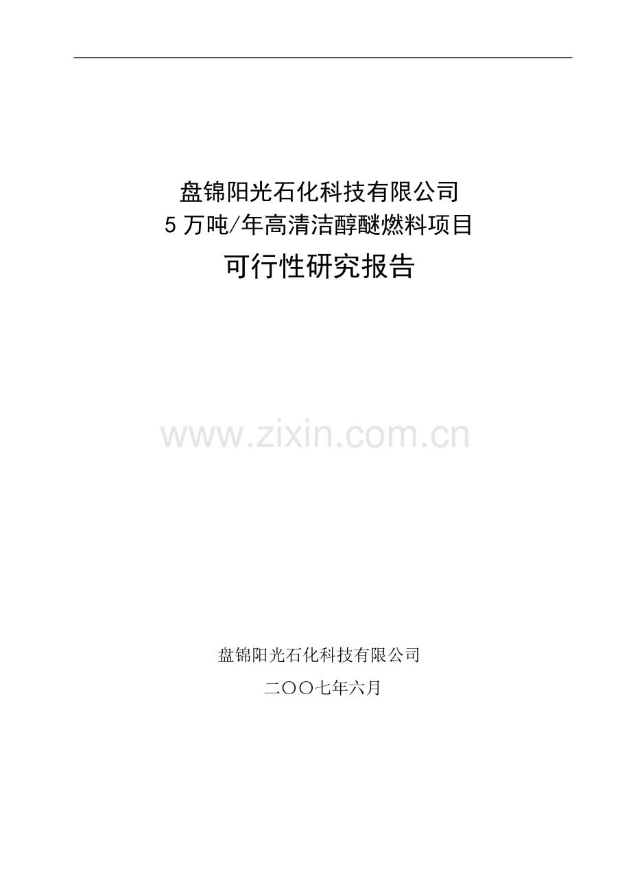 5万吨年高清洁醇醚燃料项目可行性研究报告.doc_第1页