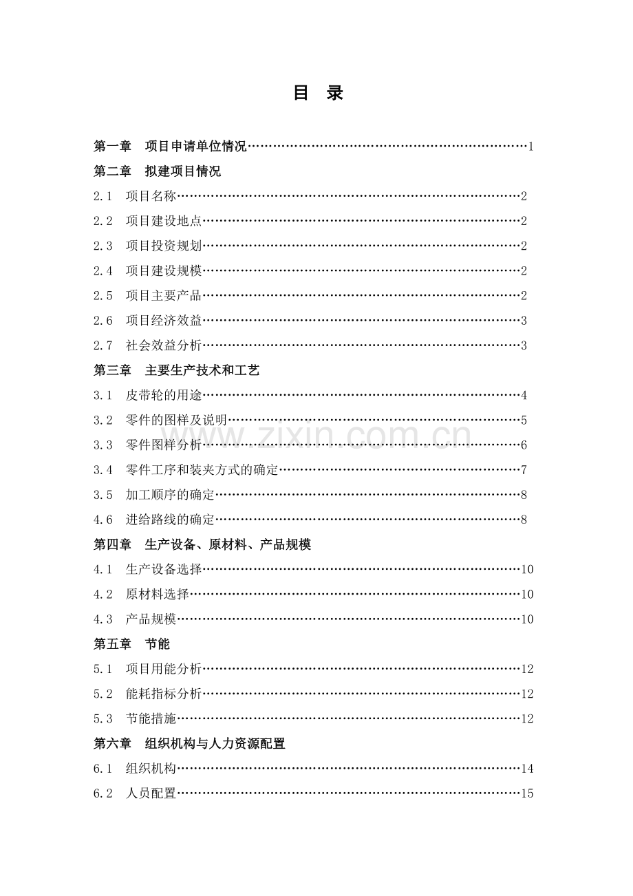 电机皮带轮制造项目可行性研究报告.doc_第1页