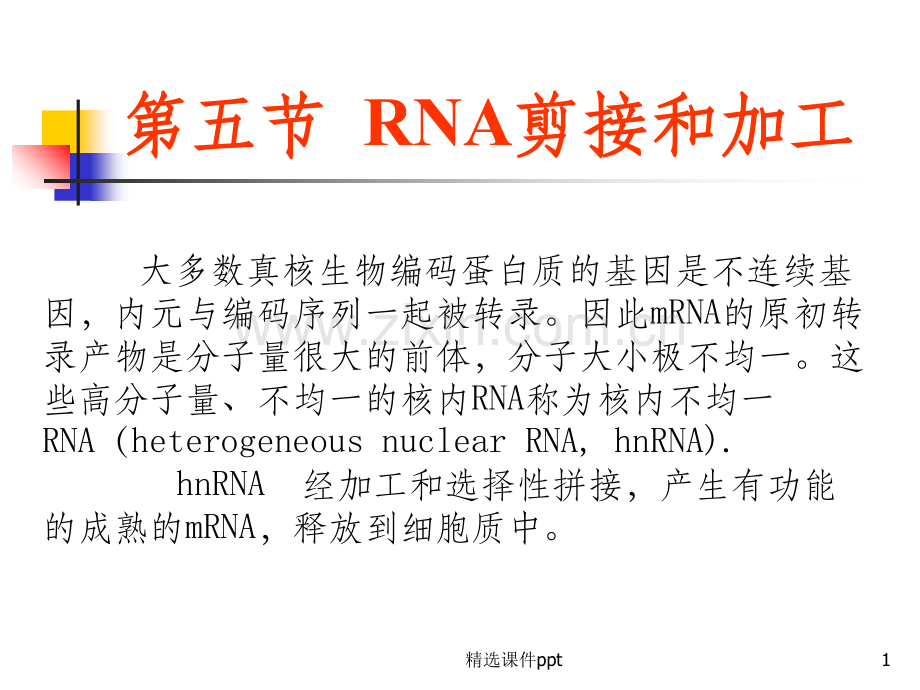 《RNA剪接和加工》PPT课件.ppt_第1页