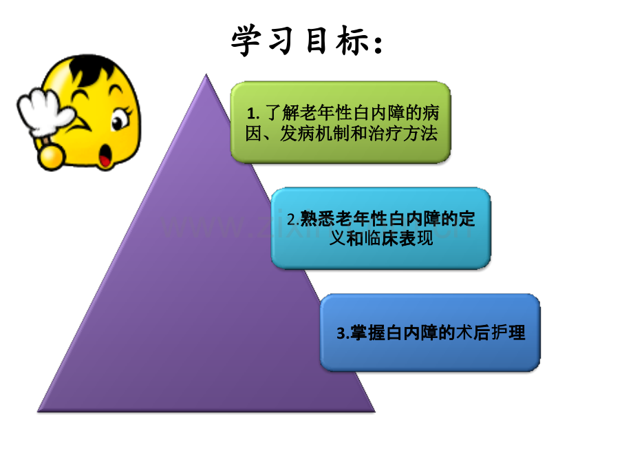 老年性白内障术后的护理医学PPT课件.pptx_第2页