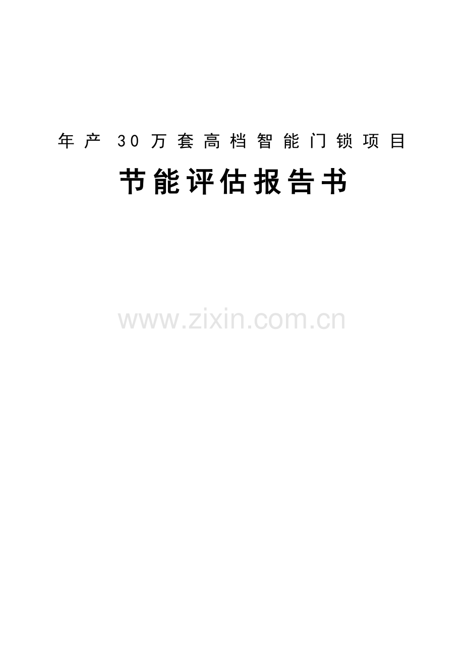 年产30万套高档智能门锁项目节能评价报告.doc_第1页