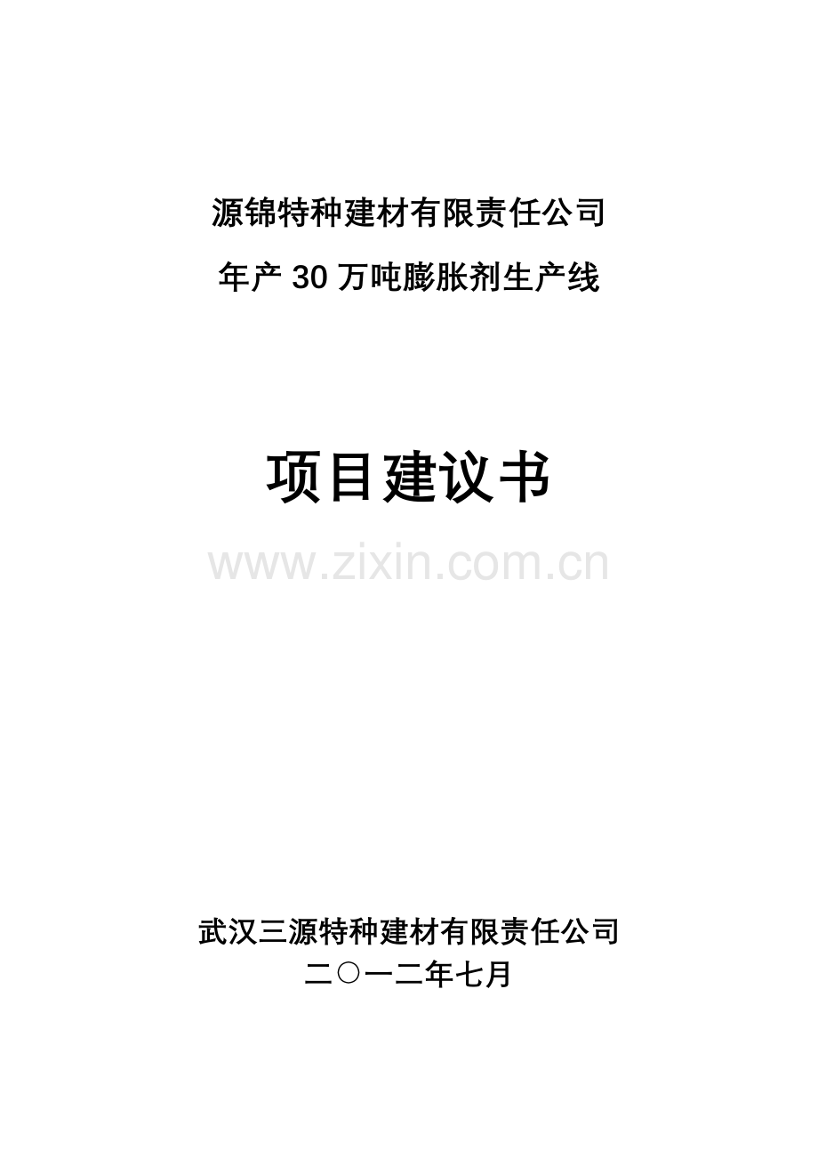 年产30万吨膨胀剂生产线项目投资可行性研究论证报告.doc_第1页