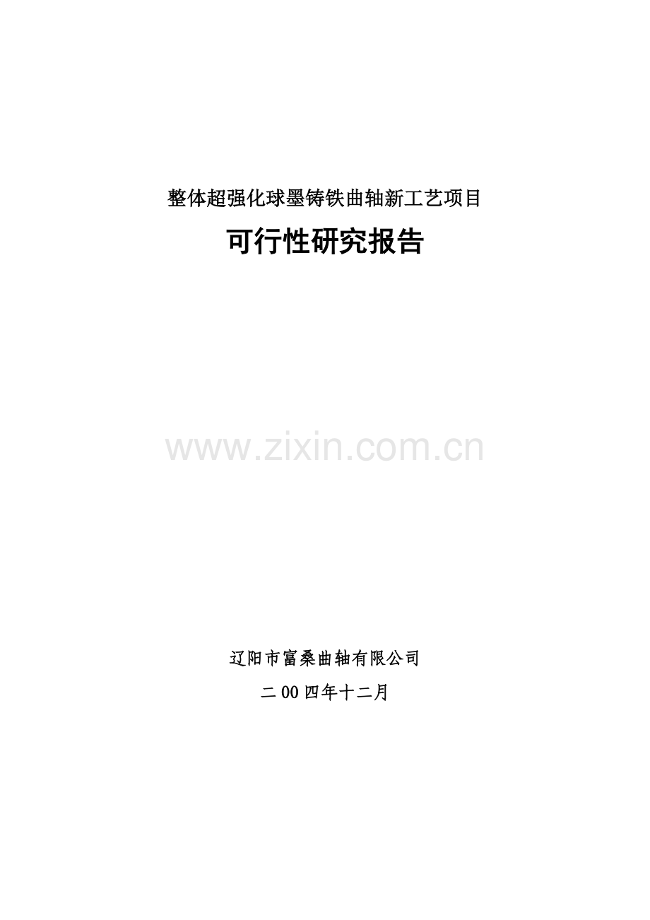 整体超强化球墨铸铁曲轴新工艺项目申请建设可研报告书.doc_第1页