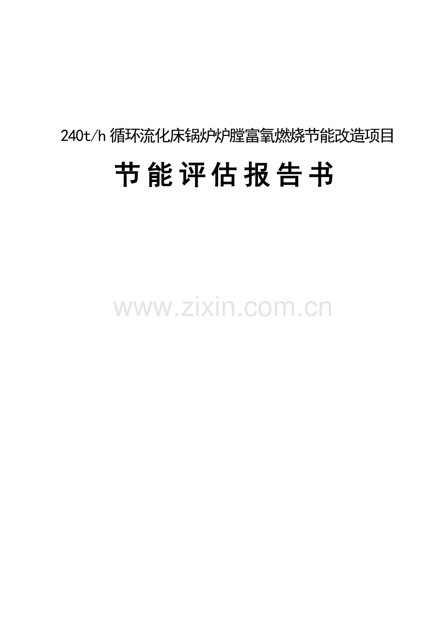 循环流化床锅炉炉膛富氧燃烧节能改造项目节能评价报告.doc_第1页