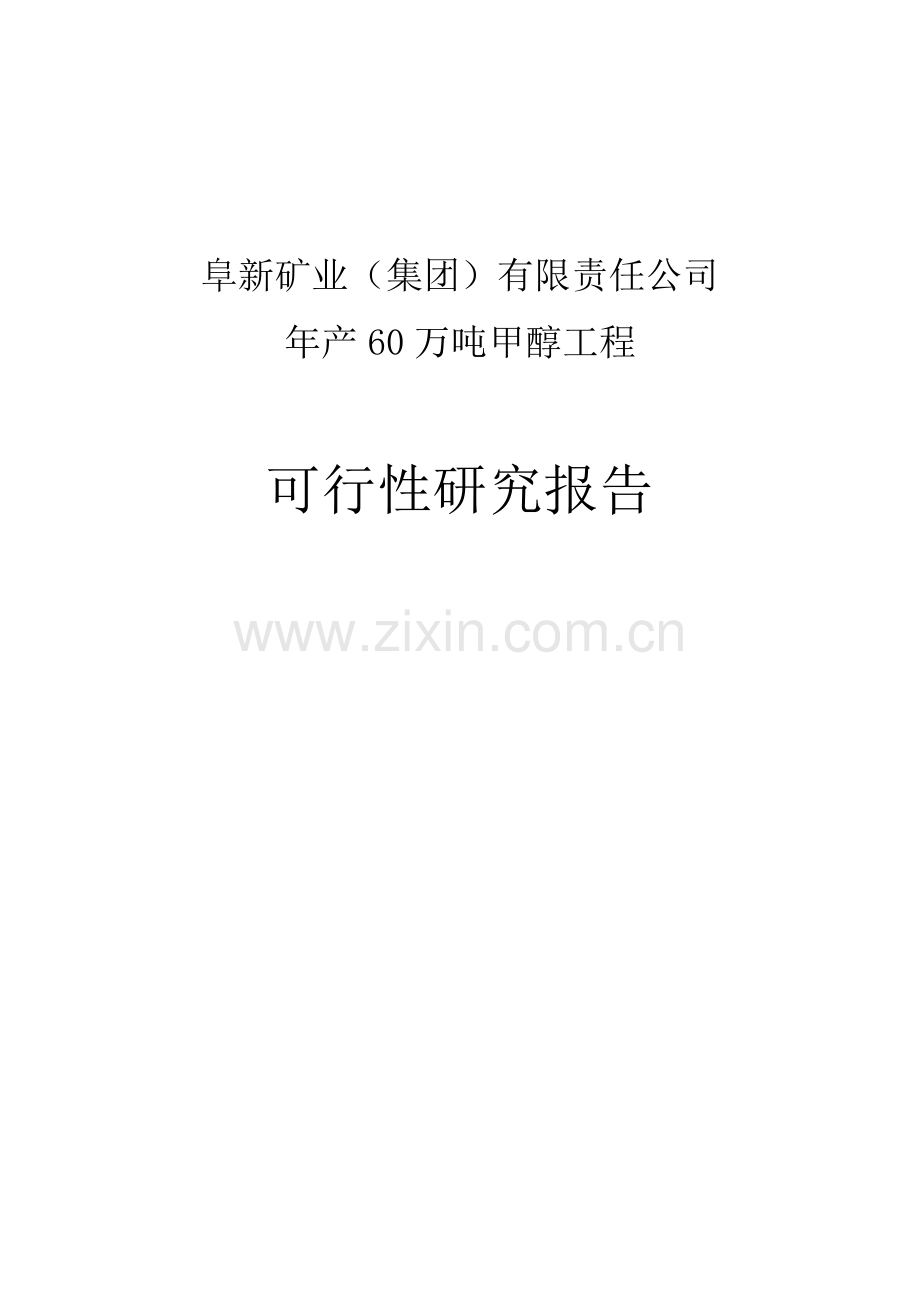 年产60万吨甲醇工程项目可行性研究报告.doc_第1页