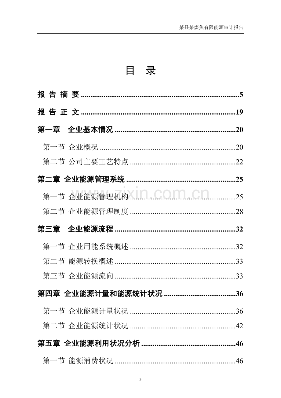 县煤焦有限能源审计报告(范本).doc_第3页