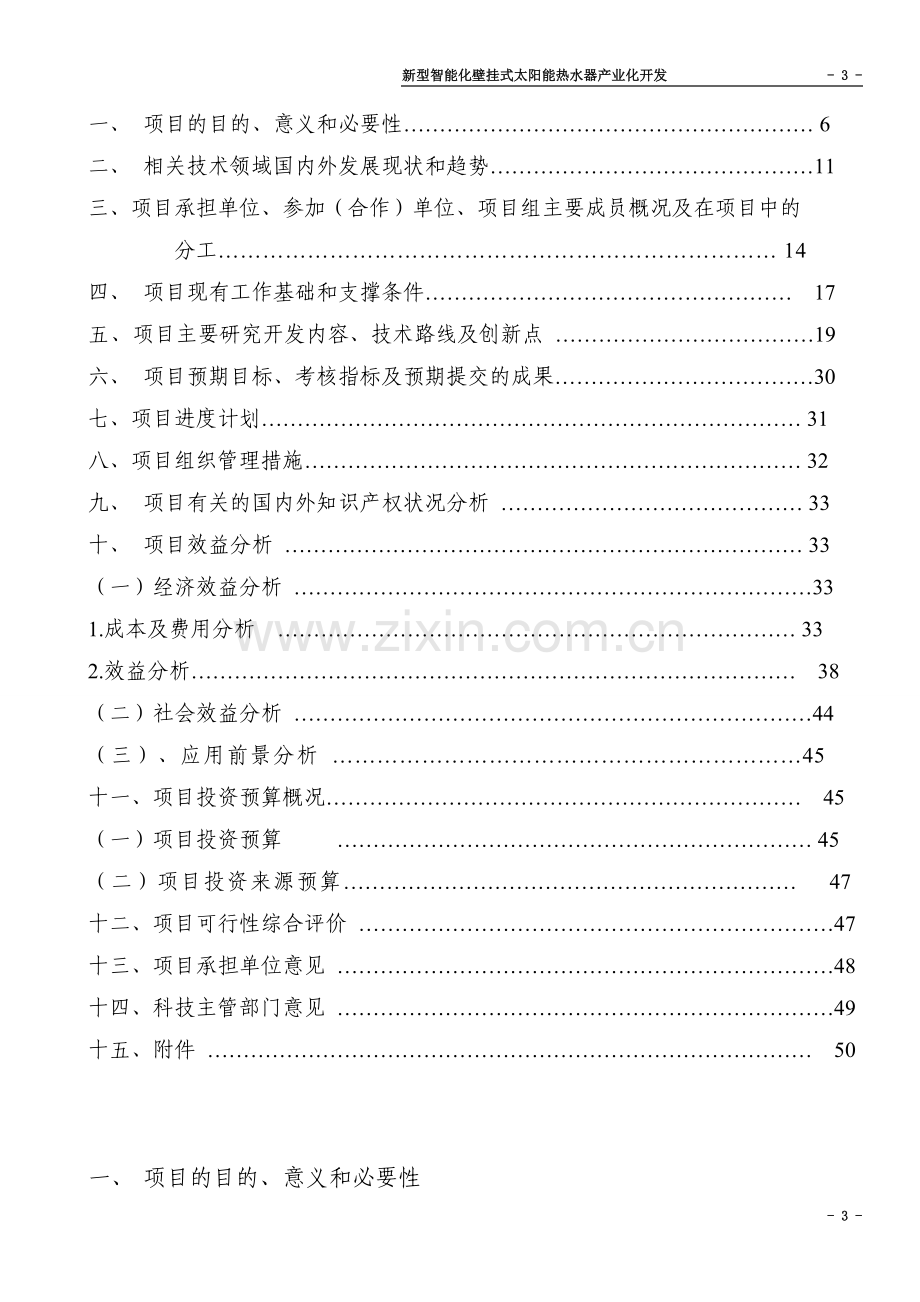 新型智能化壁挂式太阳能热水器产业化开发可行性策划书.doc_第3页