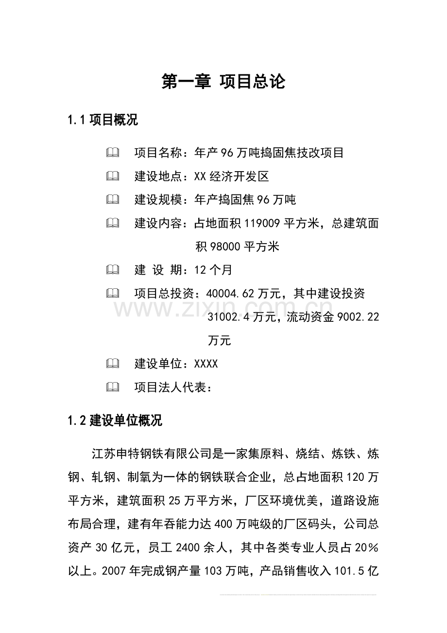 年产96万吨捣固焦技改项目建设可行性研究报告.doc_第1页