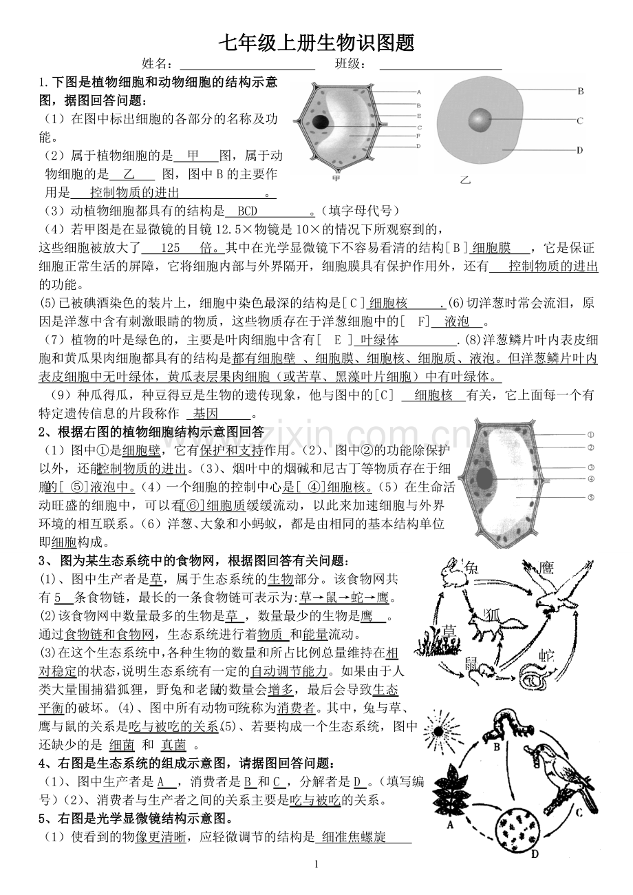 生物七年级生物上册识图题带答案.doc_第1页