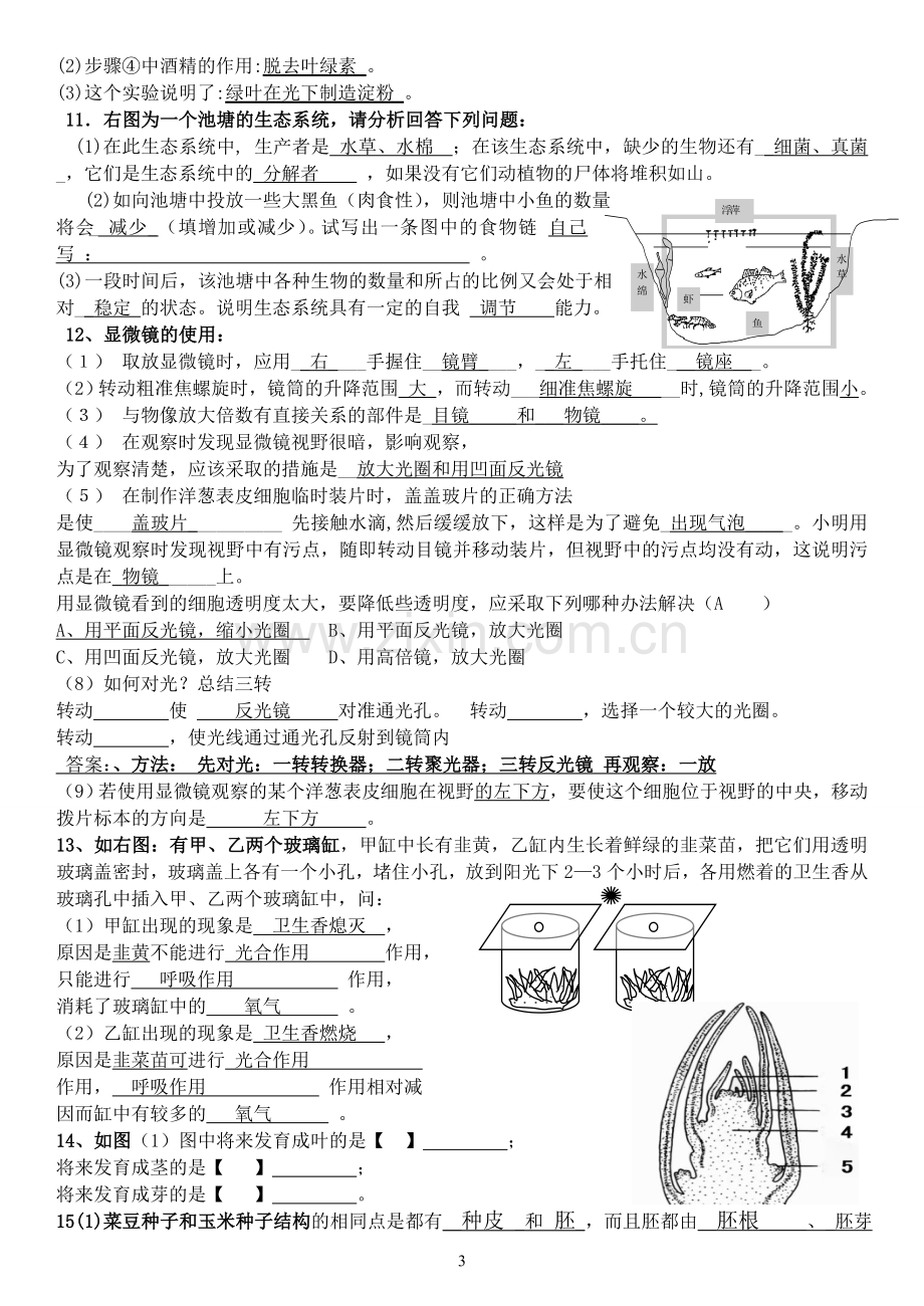 生物七年级生物上册识图题带答案.doc_第3页