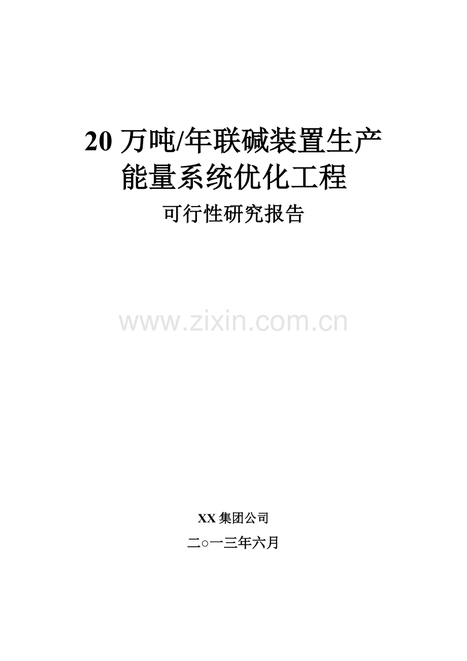 20万吨年联碱装置生产能量系统优化工程建设可行性谋划书.doc_第1页