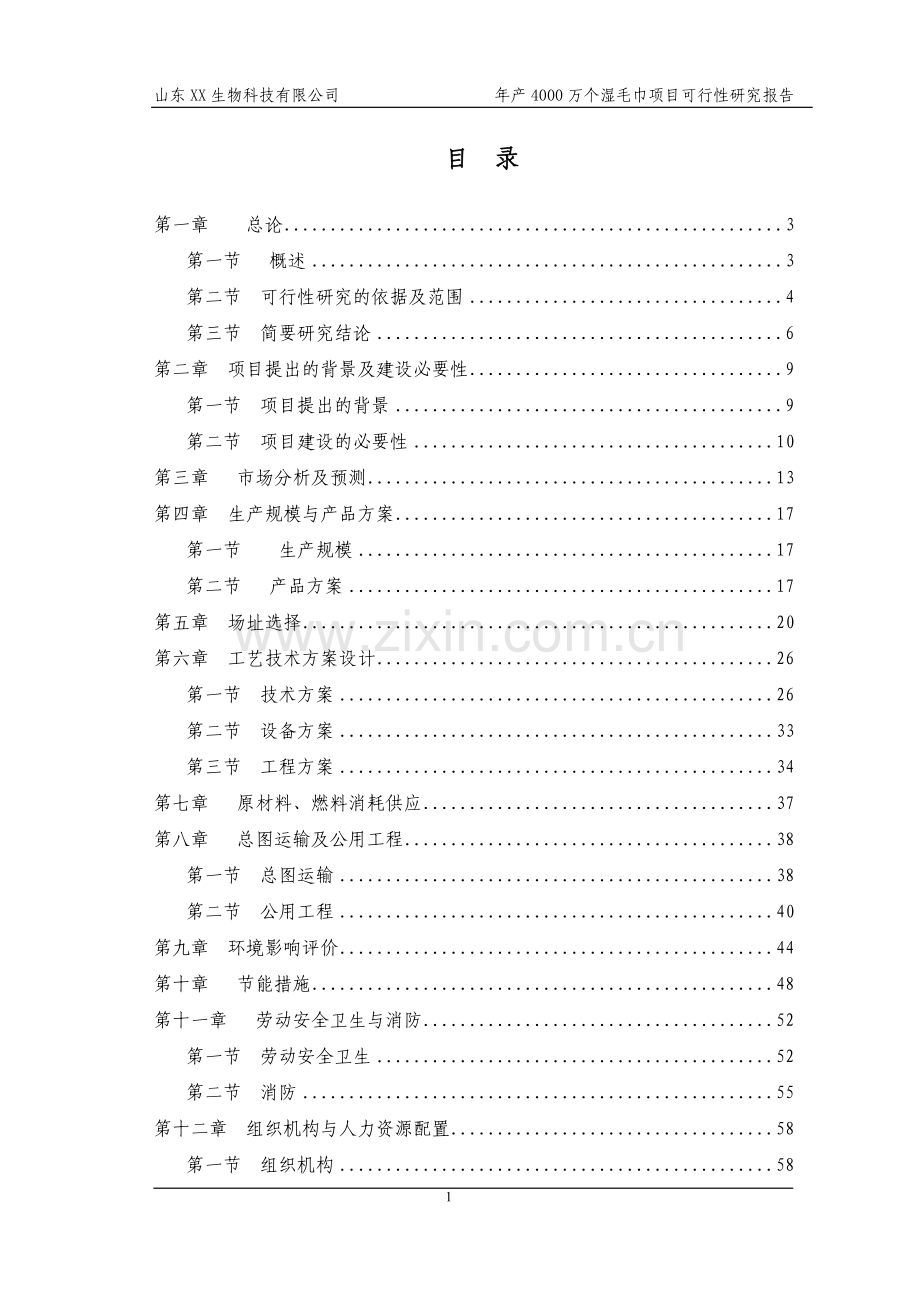 山东省某公司年产4000万个湿毛巾加工项目可行性研究报告.doc_第1页