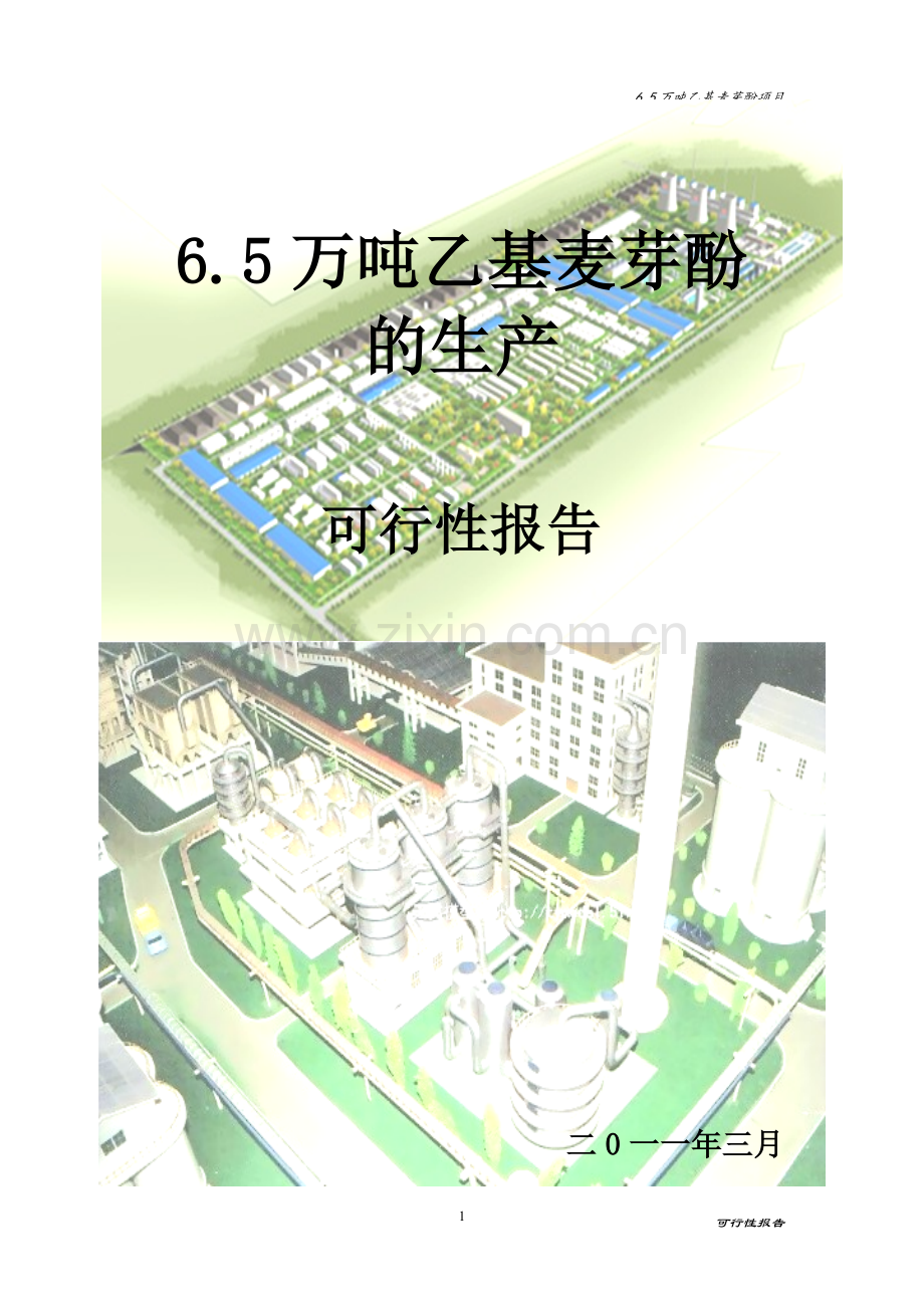 6.5万吨年乙基麦芽酚项目可行性研究报告.doc_第1页