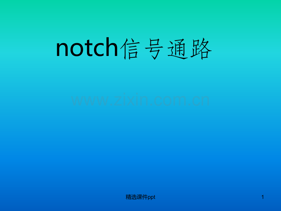 《otch信号通路》PPT课件.ppt_第1页