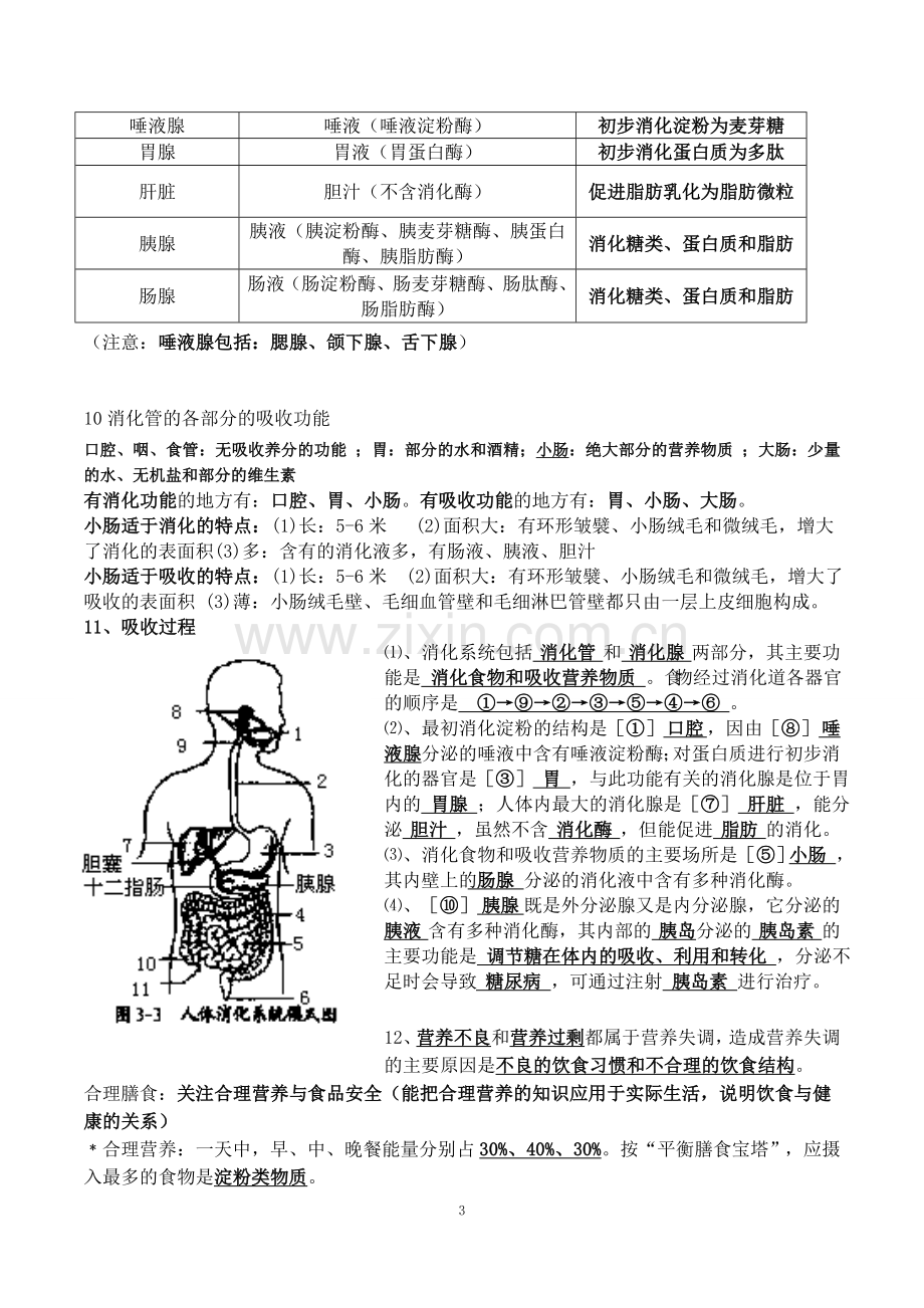 北师大版生物七年级下册知识点总结.doc_第3页