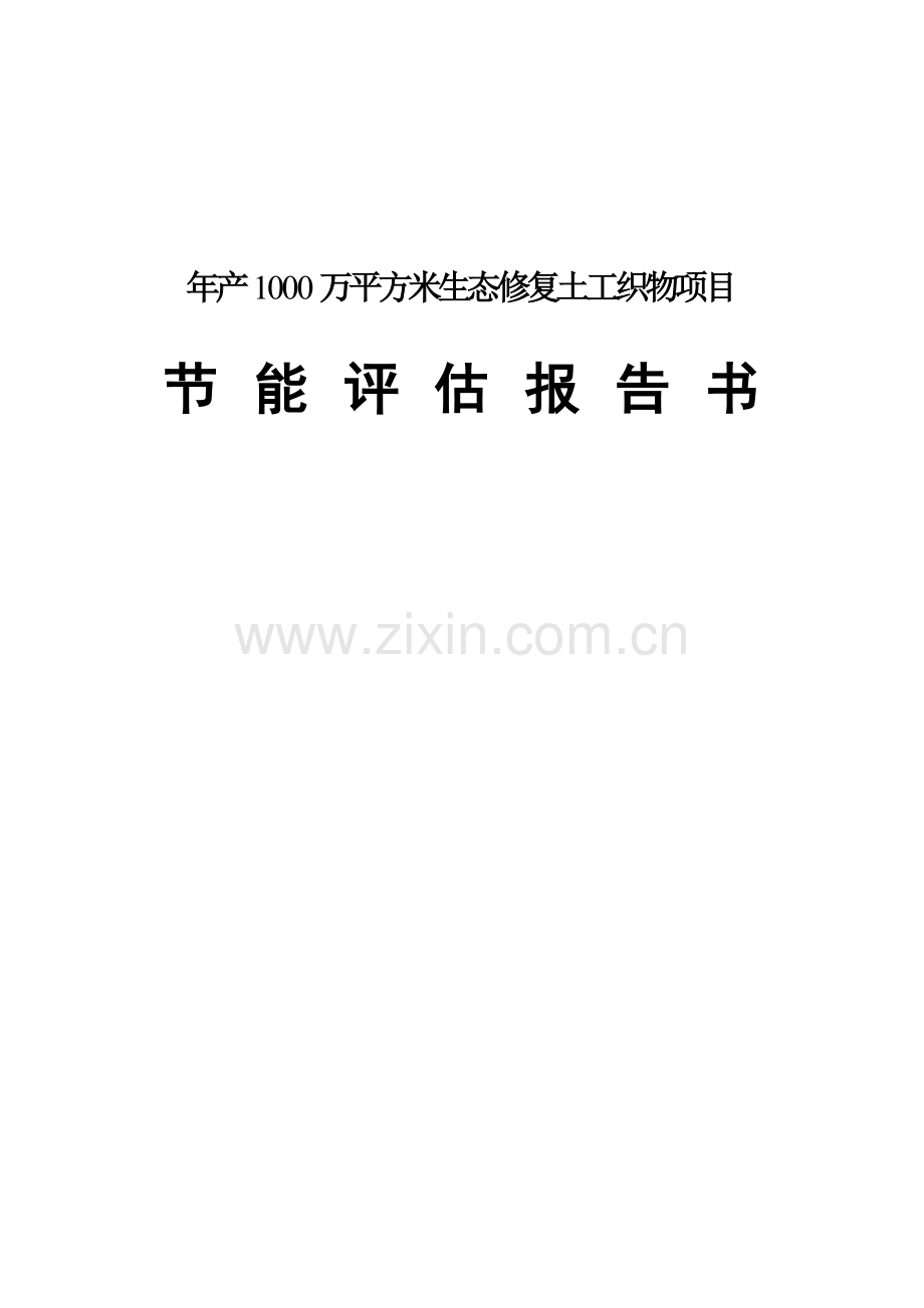 年产1000万平方米生态修复土工织物项目节能评价报告书.doc_第1页