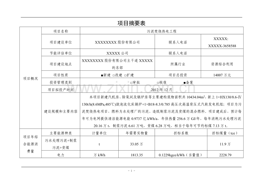 污泥焚烧热电工程项目节能评估报告书.doc_第1页