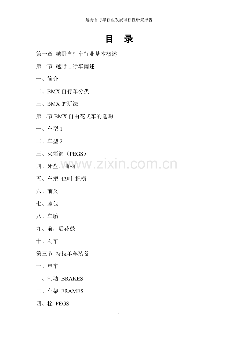 越野自行车行业发展项目可行性研究报告.doc_第2页