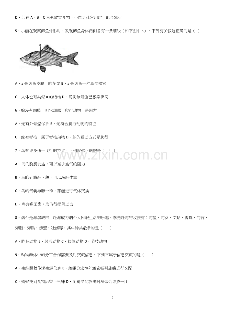 通用版初中生物八年级上册第五单元生物圈中的其他生物高频考点知识梳理.docx_第2页