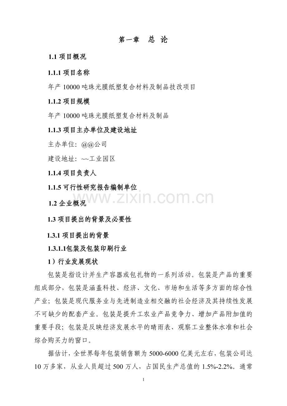 年产10000吨珠光膜纸塑复合材料及制品技改可行性策划报告.doc_第3页