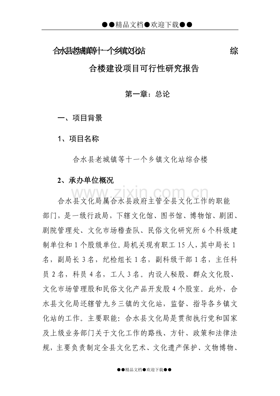 某文化站综合楼项目建设可行性研究报告1.doc_第1页