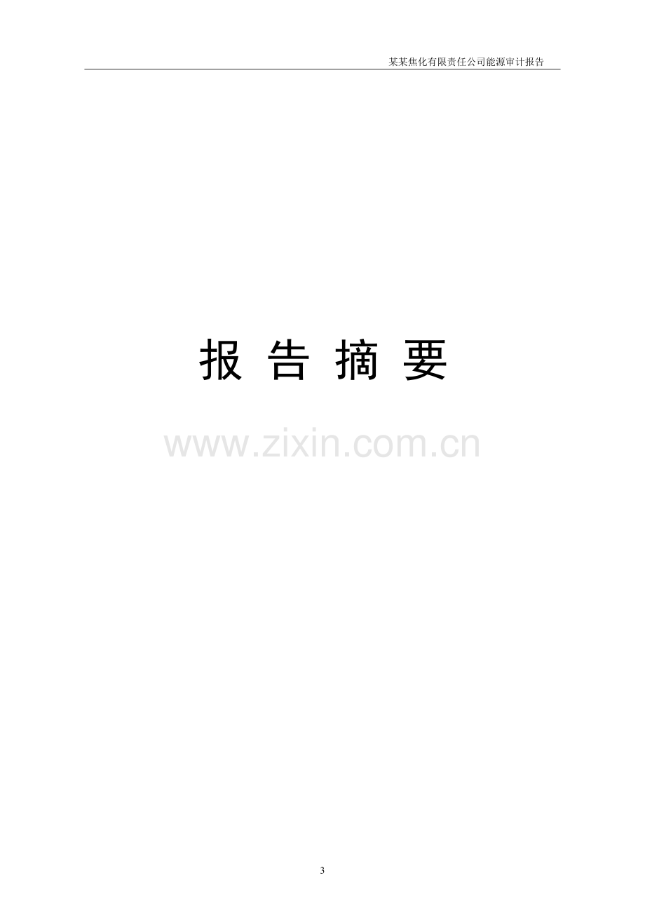 某焦化企业能源审计报告.doc_第3页