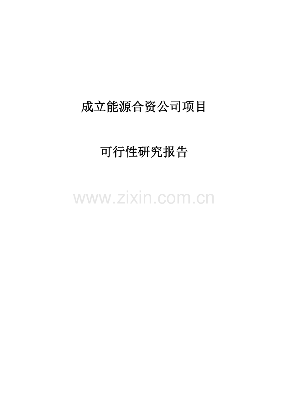 成立能源合资公司项目可行性研究报告.doc_第1页