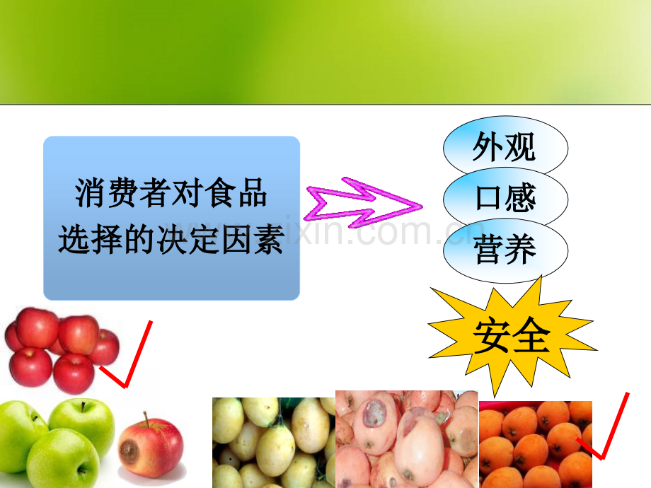 食品理化检验-绪论.ppt_第3页