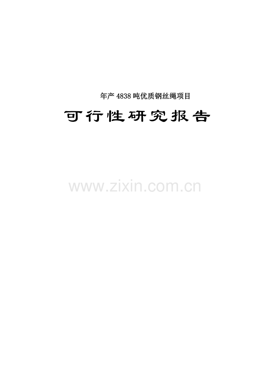 年产4838吨优质钢丝绳项目可行性论证报告.doc_第1页