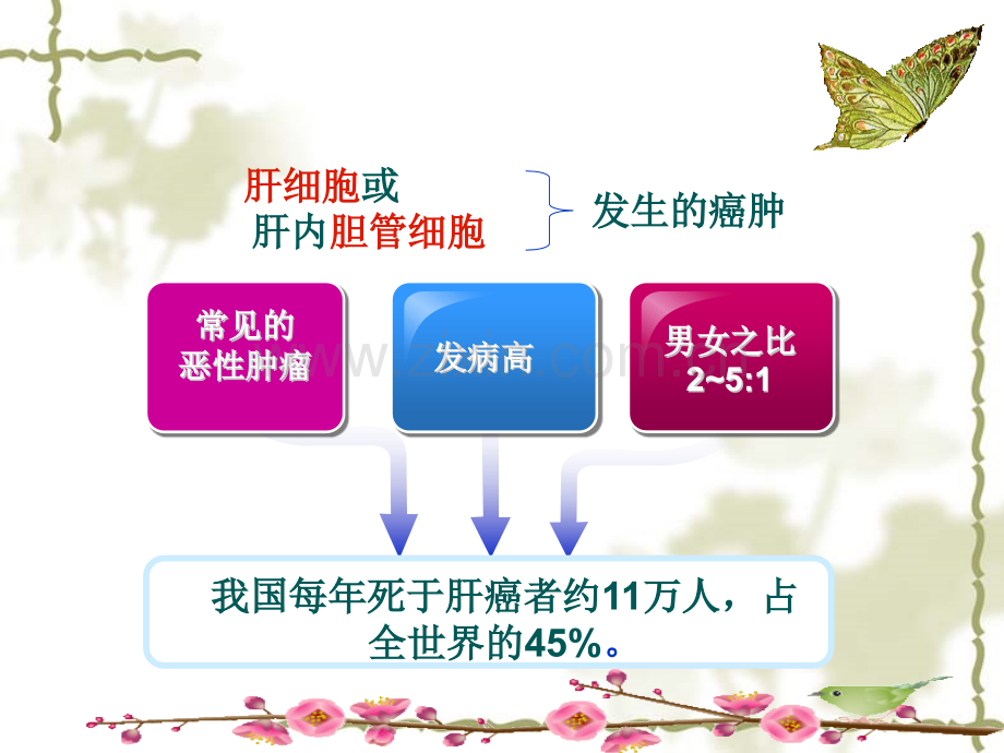 肝癌TACE术后的护理医学PPT课件.ppt_第3页