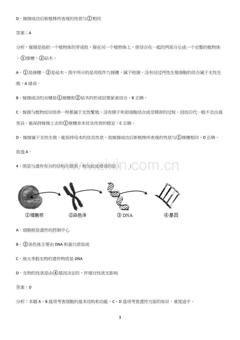 通用版初中生物八年级下册第七单元生物圈中生命的延续和发展名师选题-(2).docx_第3页