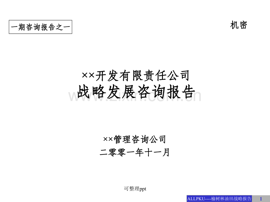 ××公司战略发展咨询报告.ppt_第1页