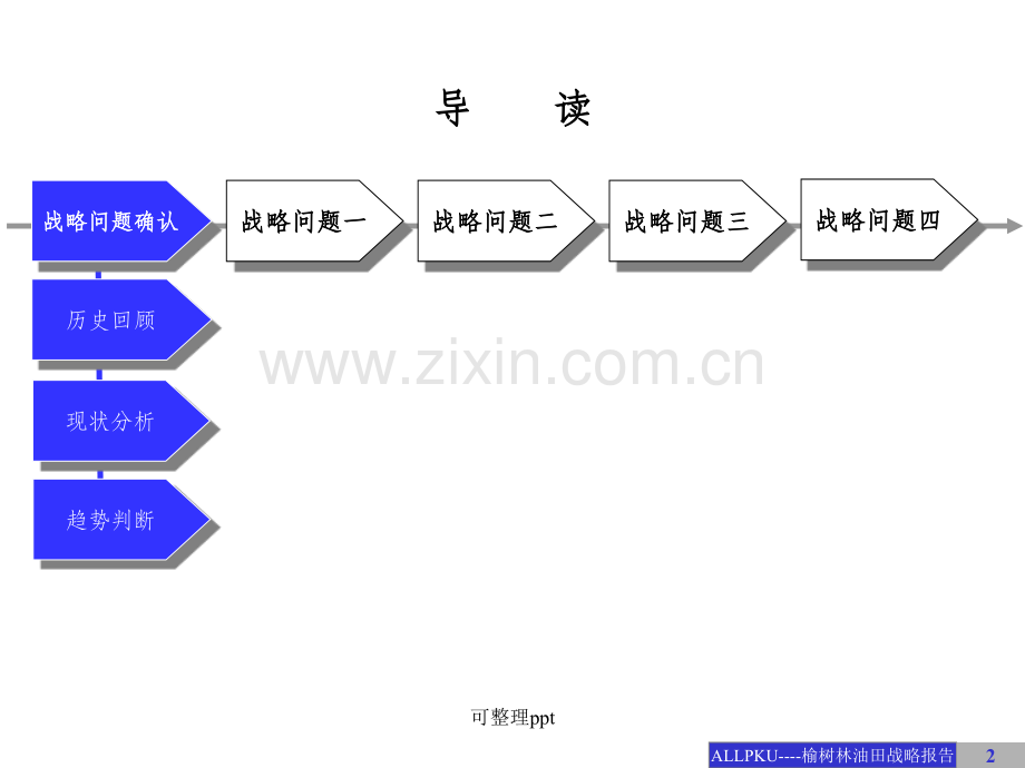 ××公司战略发展咨询报告.ppt_第2页