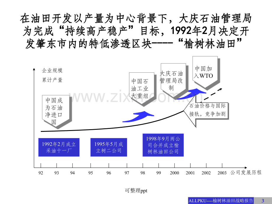 ××公司战略发展咨询报告.ppt_第3页