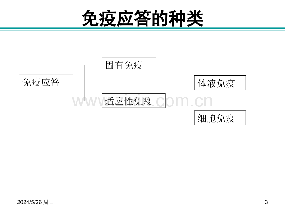 [免疫学]B细胞医学PPT课件.ppt_第3页