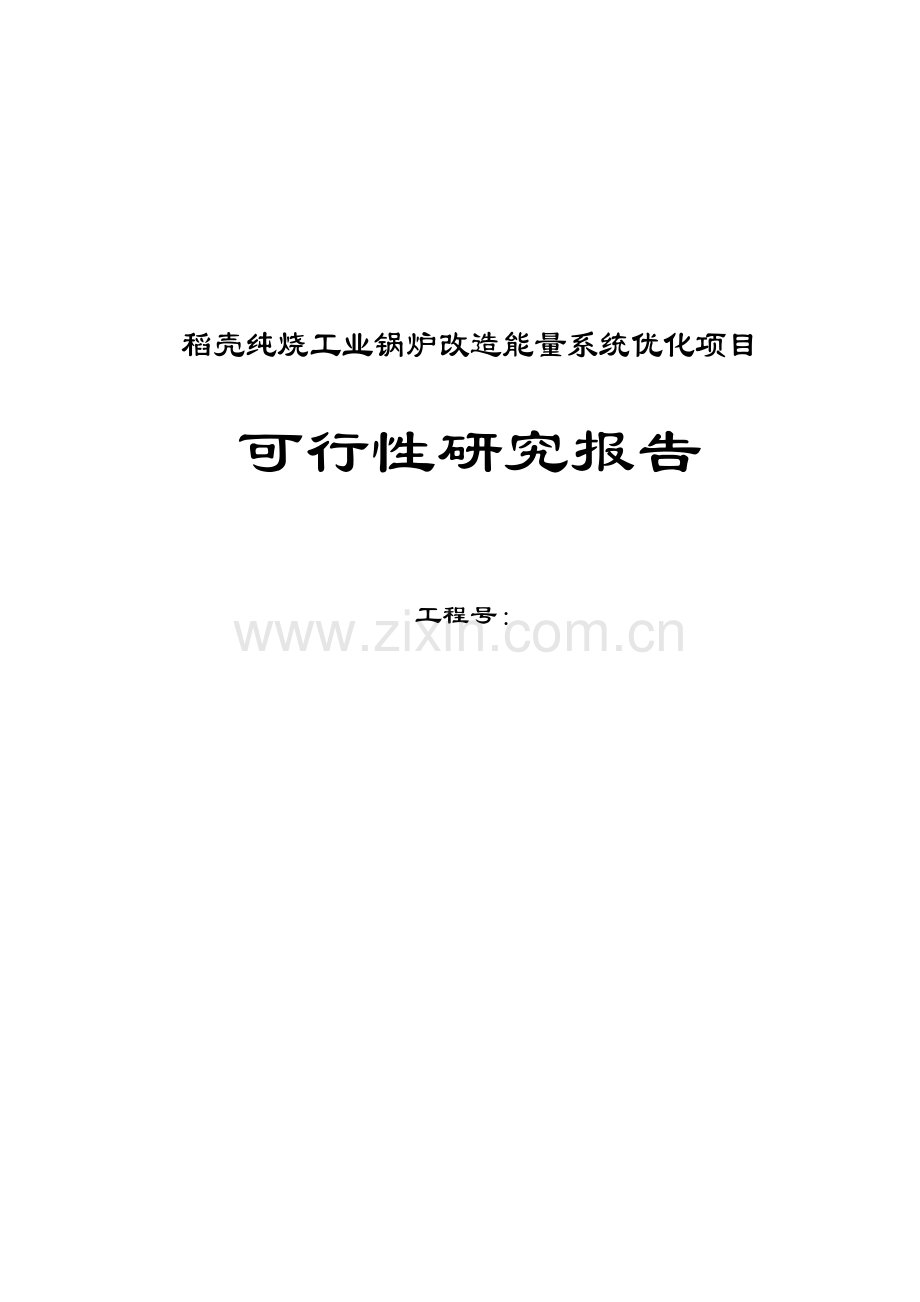 稻壳纯烧工业锅炉改造能量系统优化可行性策划书.doc_第1页