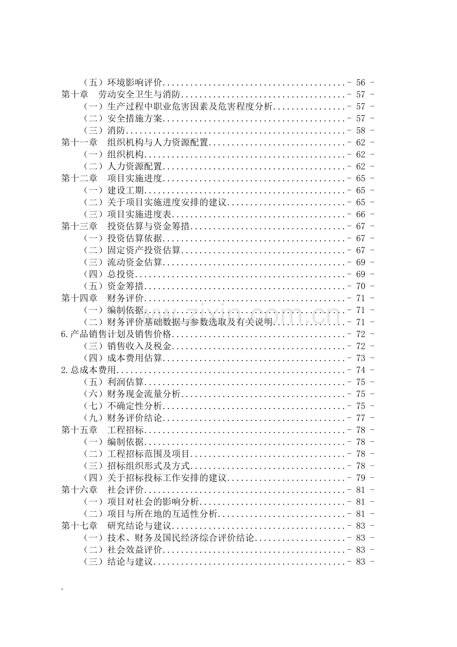 年产60万吨醇氨工程项目可行性研究报告.doc_第2页