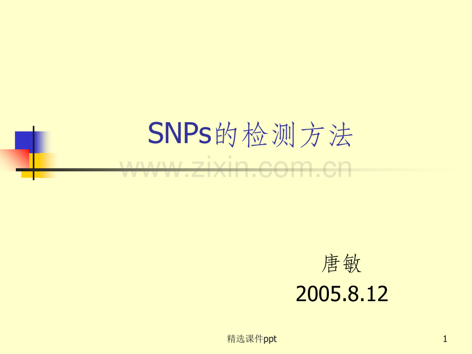 《SNP检测方法讲课》PPT课件.ppt_第1页