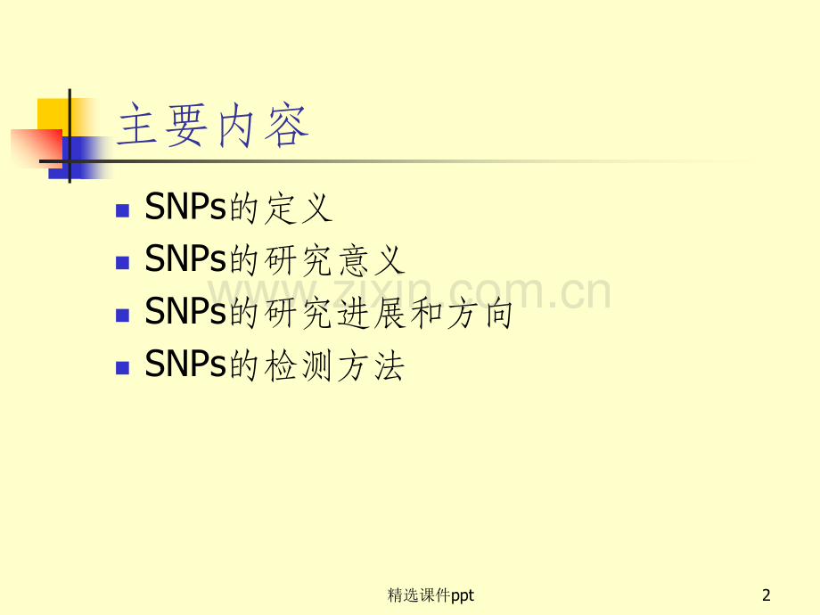 《SNP检测方法讲课》PPT课件.ppt_第2页