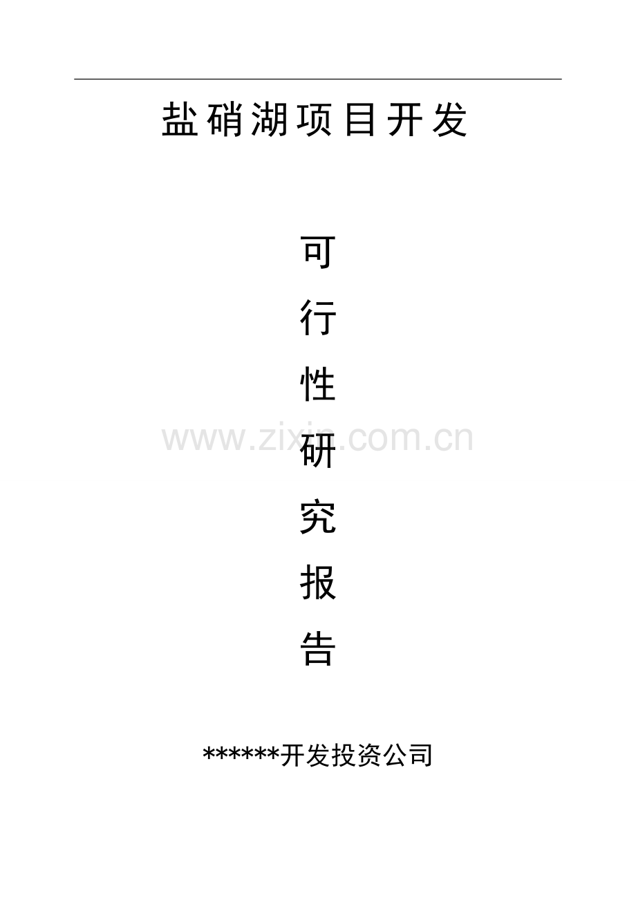 投资建设年产1万吨芒硝、1万吨原盐盐湖泊开发项目可行性策划书.doc_第1页