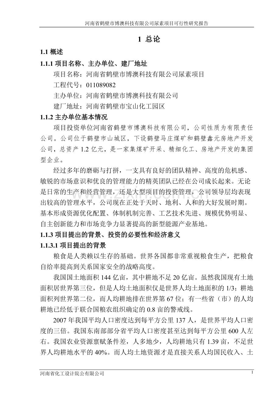 鹤壁市博澳科技有限公司尿素项目投资可行性研究报告.doc_第1页