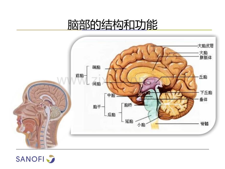 脑血管疾病系列课件医学PPT课件.pptx_第3页