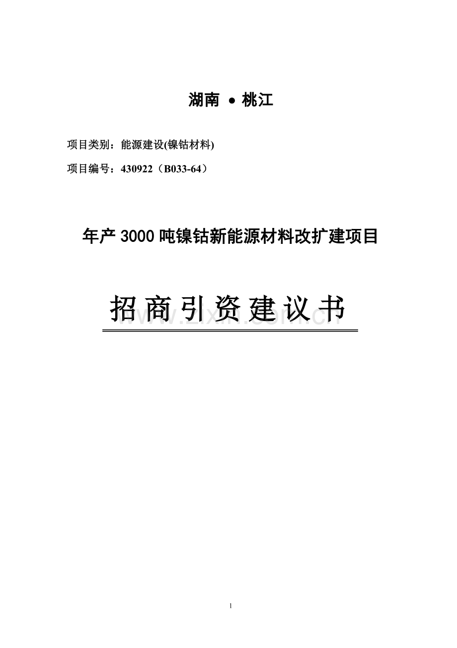 年产3000吨镍钴新能源材料改扩建项目可行性研究报告.doc_第1页