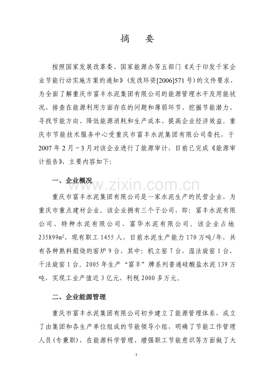 富丰水泥能源审计报告.doc_第3页