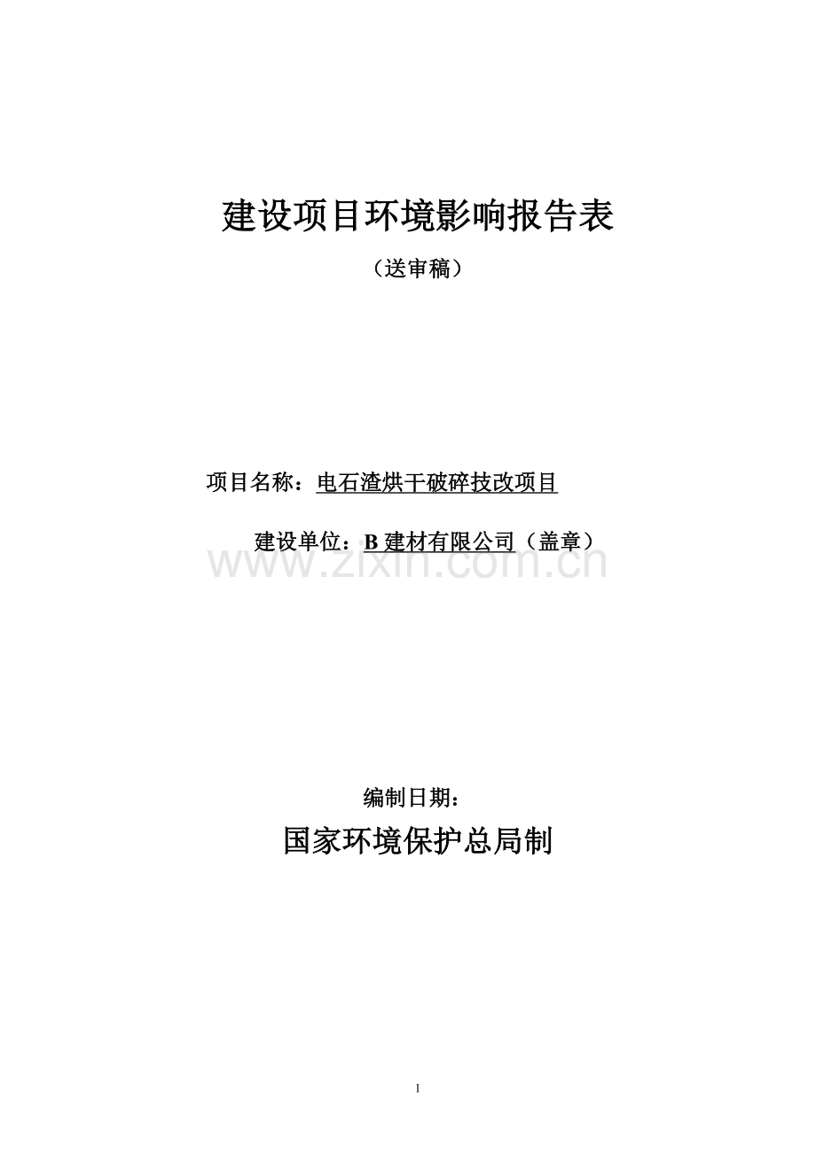 某公司电石渣综合利用项目报告表.doc_第1页