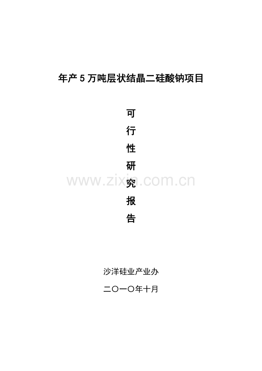 年5万吨层状结晶二硅酸钠可行性分析报告.doc_第1页